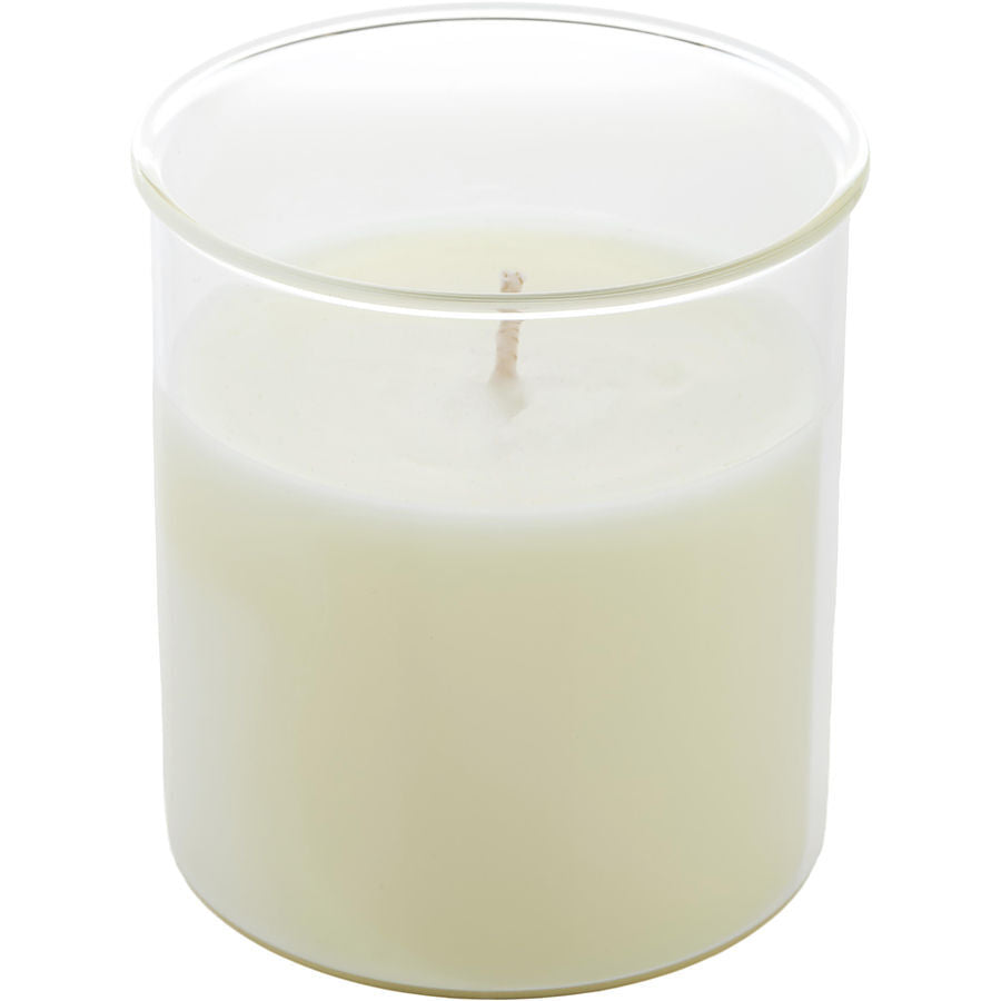 CELESTE FIG & MELON by Northern Lights - ESQUE CANDLE INSERT 9 OZ