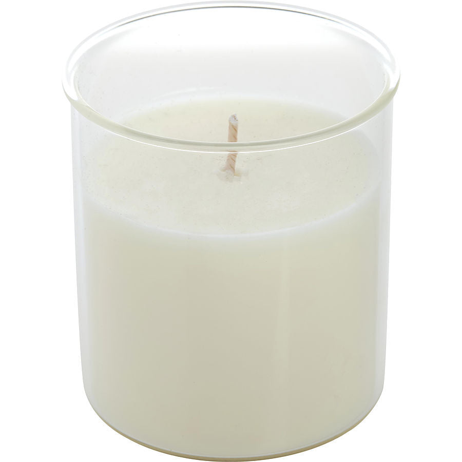 LAVENDER & HONEY by Northern Lights - ESQUE CANDLE INSERT 9 OZ