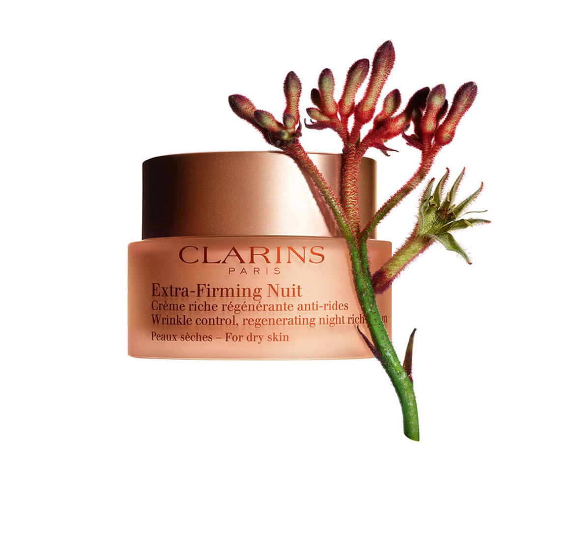 Extra-Firming Nuit Wrinkle Control, Regenerating Night Rich Cream - For Dry Skin by Clarins (WOMEN) -50ml/1.6oz